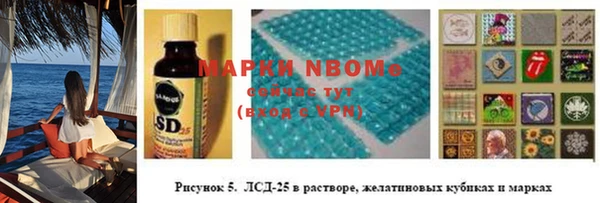 гашик Михайлов