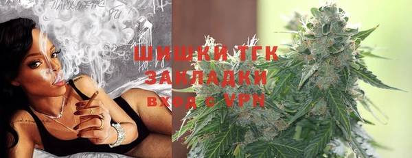 гашик Михайлов
