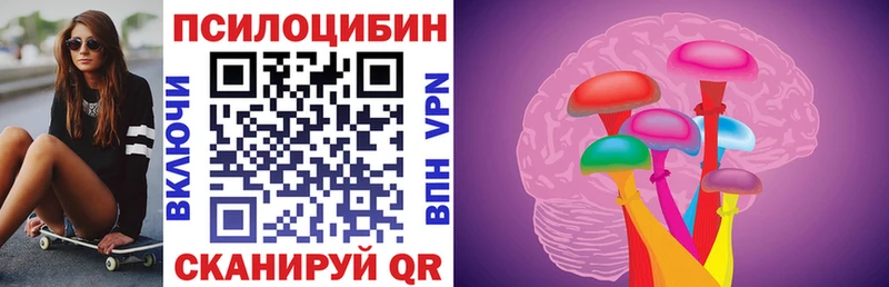 Галлюциногенные грибы Psilocybe  Нытва 